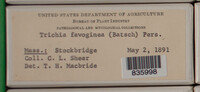 Image Associated With the Occurence